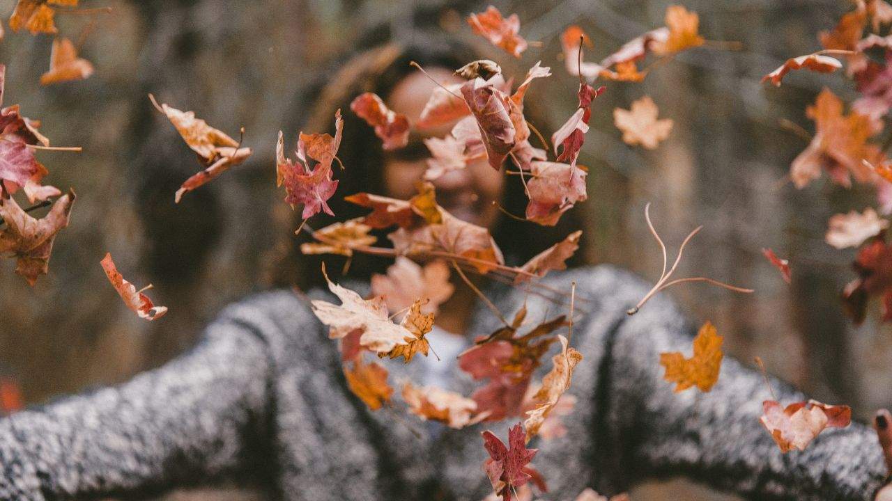 Wat te doen in Krakau in de herfst : jouw complete gids