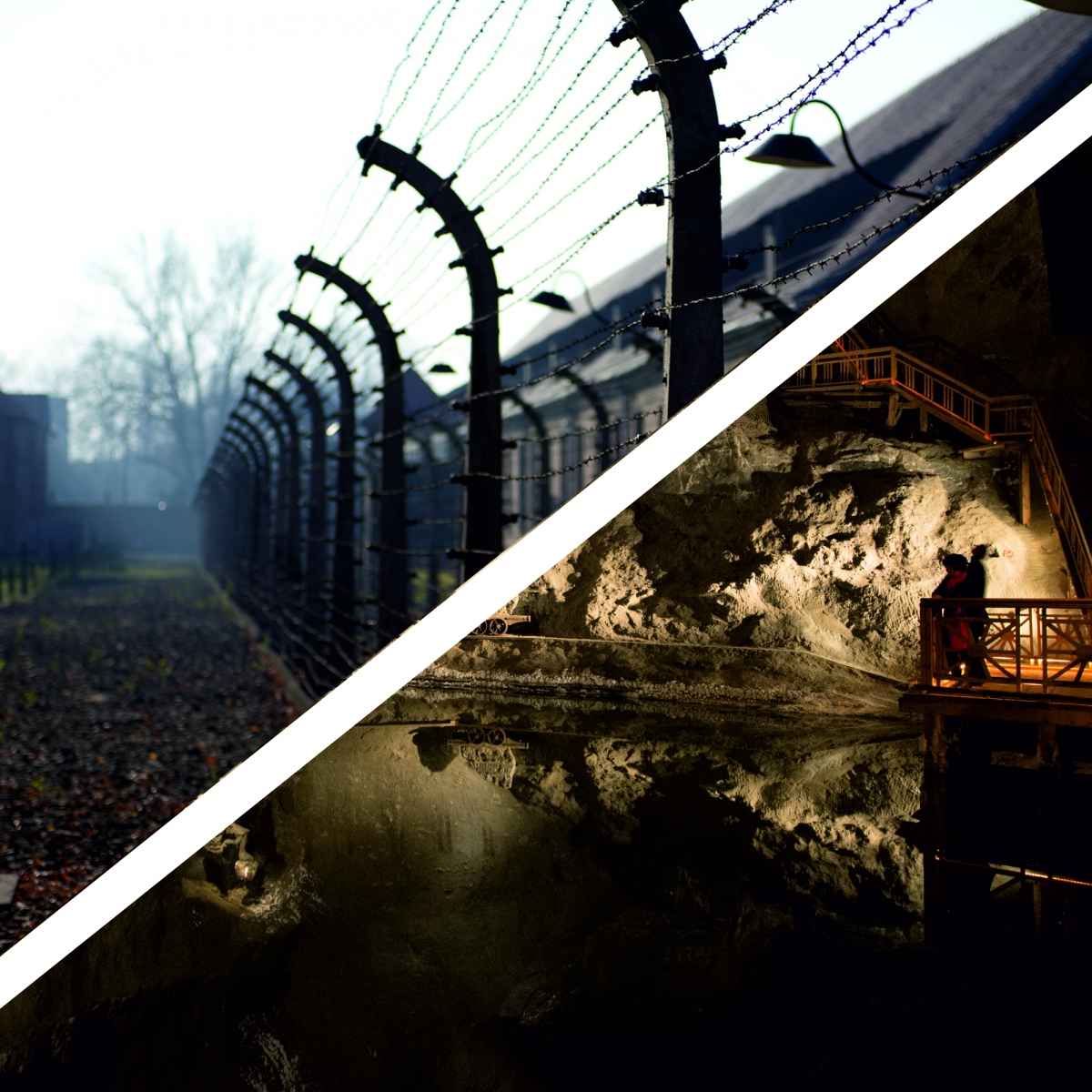Auschwitz y Wieliczka en un día