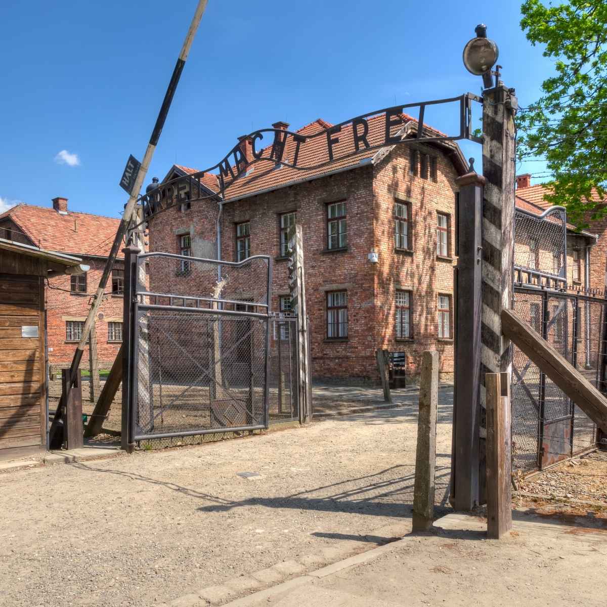 Auschwitz-Birkenau: Guidad tur från Krakow