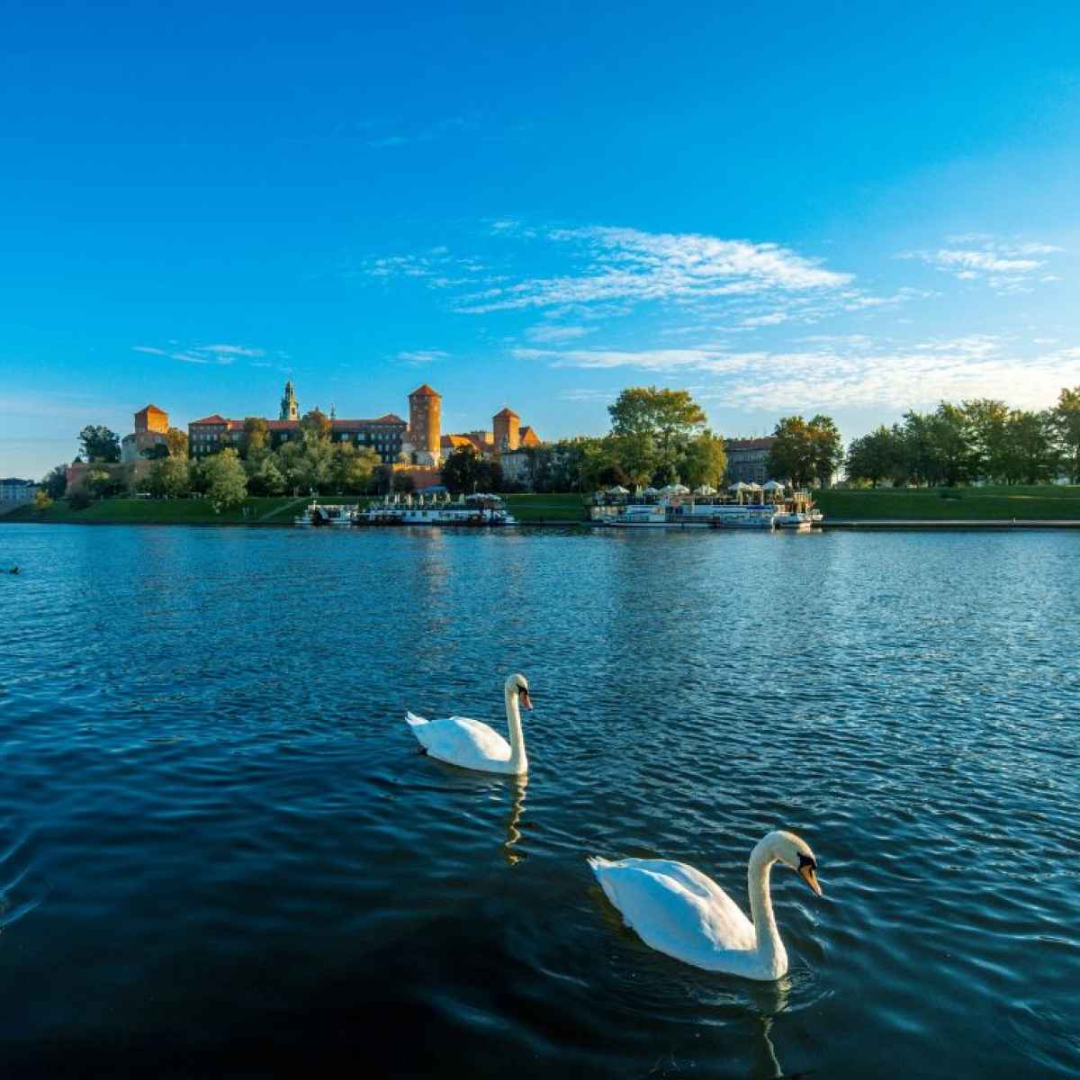 Krakau riviercruise op de Wisla