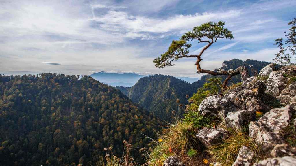 pieniny mountains