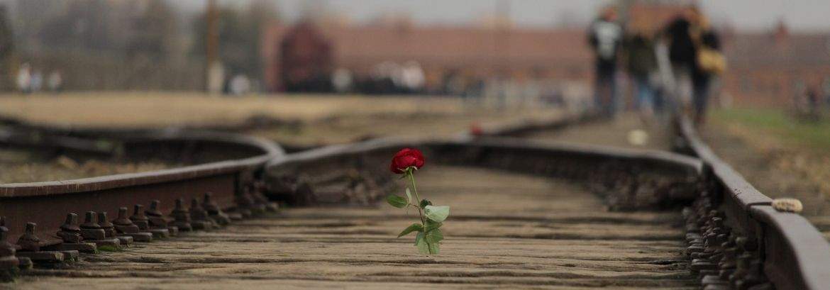 De spoorwegrampe van Auschwitz-Birkenau: een gedenkplaats en waarschuwing